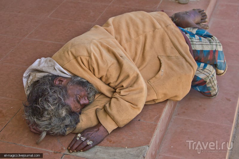 Чайные истории или сколько алкоголиков спит на улицах в день выборов? / Шри-Ланка