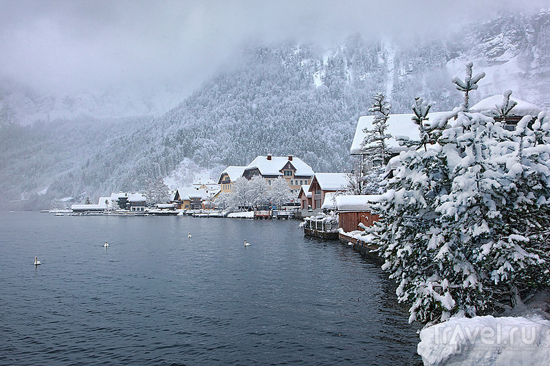 Австрийская зима. Гальштат / Фото из Австрии