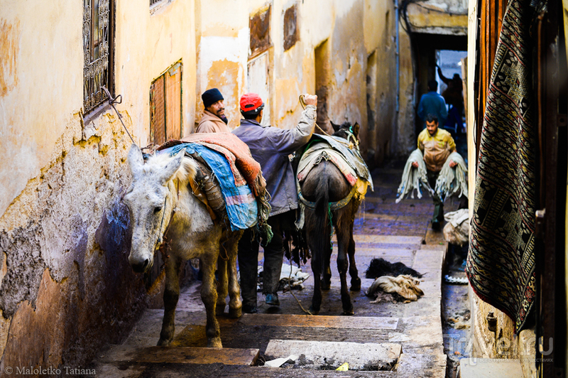 Morocco. Fes /   