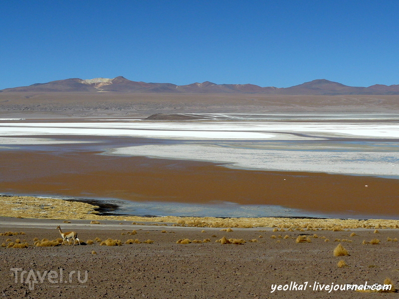 Un gran viaje a America del Sur. .   .     /   