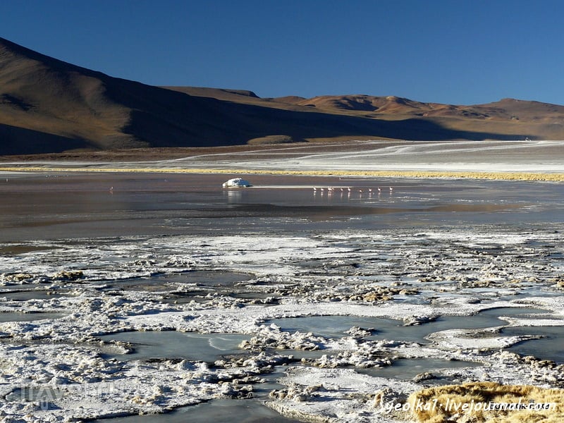Un gran viaje a America del Sur. Боливия. Выход в космос. Красные воды лагуны Колорада / Фото из Боливии