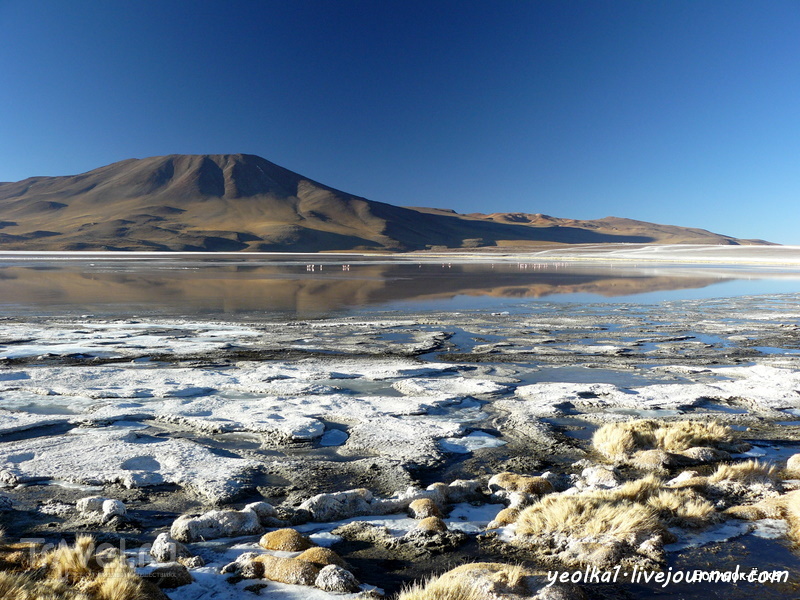 Un gran viaje a America del Sur. Боливия. Выход в космос. Красные воды лагуны Колорада / Фото из Боливии