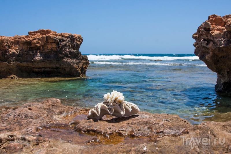  : Pilbara /   