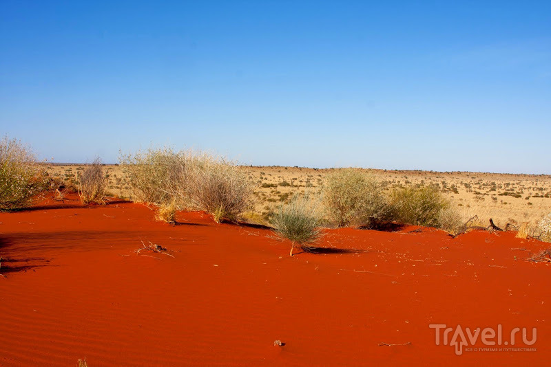 Австралийский аутбэк: Pilbara / Фото из Австралии