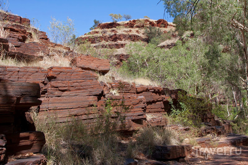 Австралийский аутбэк: Pilbara / Фото из Австралии