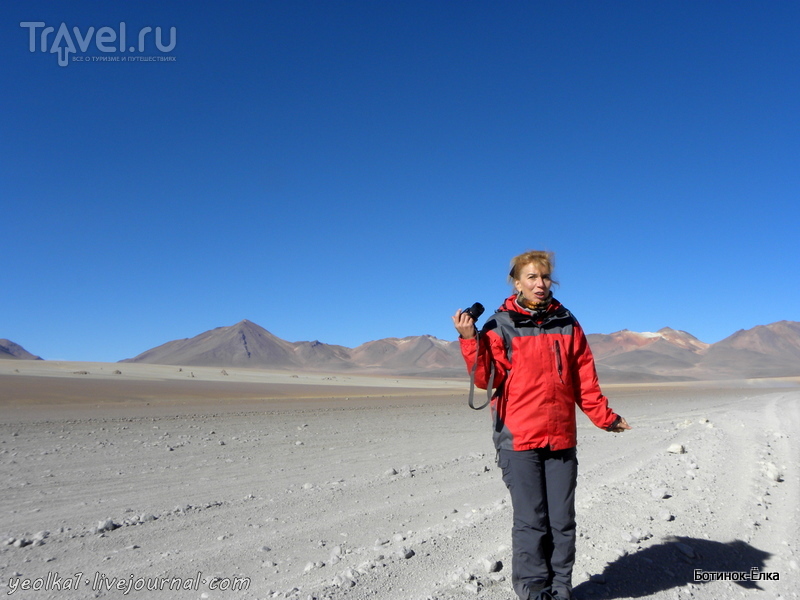 Un gran viaje a America del Sur. .   .   /   