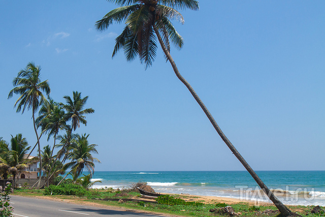 Шри-Ланка / Шри-Ланка