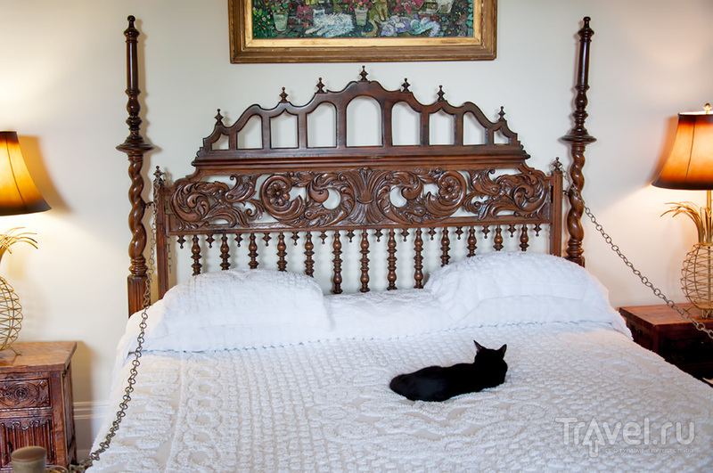 Ки-Уест, дом с котами, где жил Хемингуэй / Фото из США