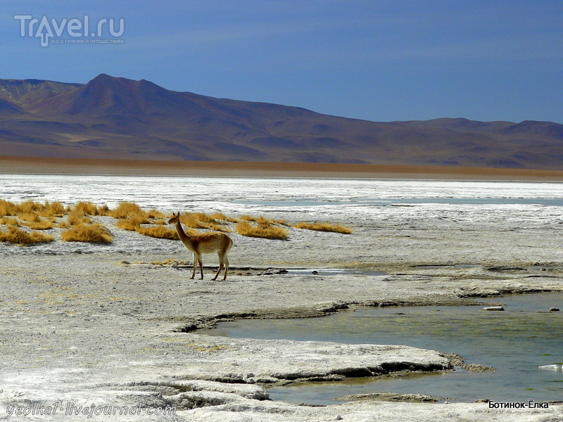 Un gran viaje a America del Sur. .   .   ... /   