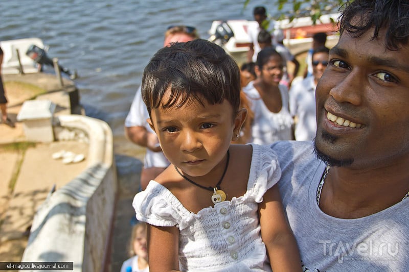 Как делают корицу и кормят рыб туристами. Сафари по Маду Ганге / Фото со Шри-Ланки