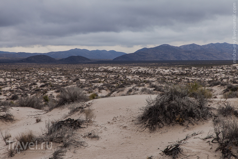 США. Национальный парк Guadalupe Mountains / Фото из США