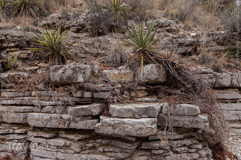 .   Guadalupe Mountains /   