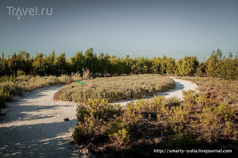 Кипр: ботанический сад Cyherbia / Фото с Кипра