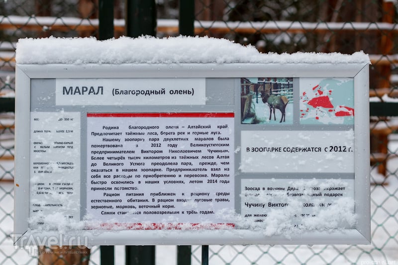 Великоустюгский зоопарк (Зоосад Деда Мороза) / Россия