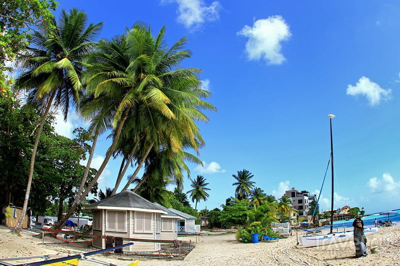 Барбадос, гуляем по пляжу Worthing! / Фото с Барбадоса
