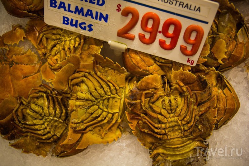 Рыбный рынок в Сиднее / Австралия