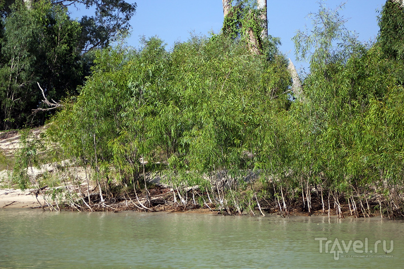 ,  , East Alligator River cruise / 