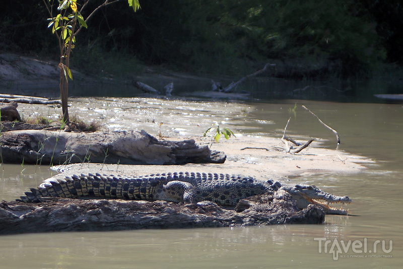 ,  , East Alligator River cruise / 