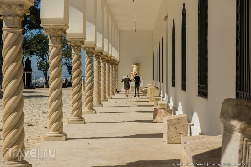 Карфаген должен быть разрушен. Музей / Фото из Туниса