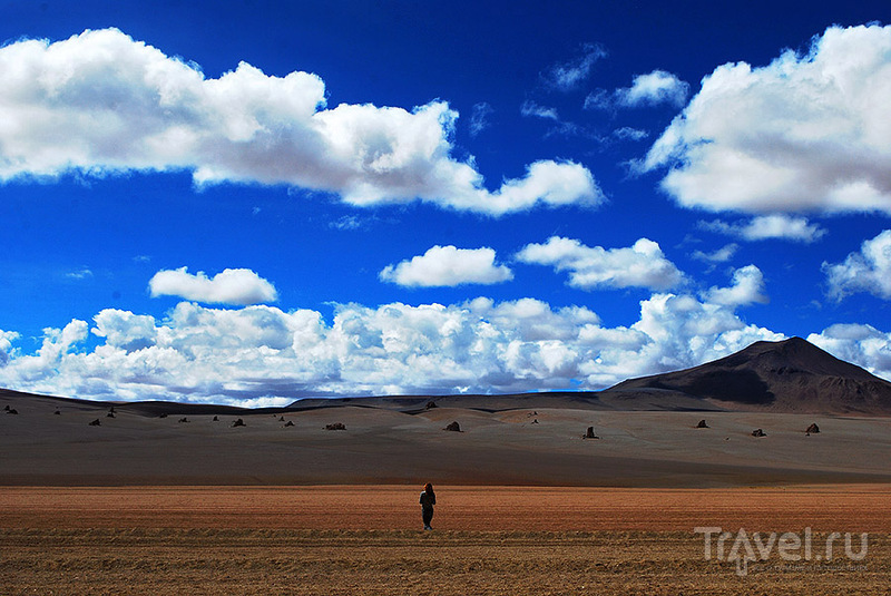 Боливийское Альтиплано - другая планета / Фото из Боливии