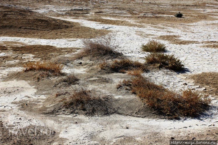 Загадки Иудейской пустыни: где находятся Содом и Гомора? / Фото из Израиля