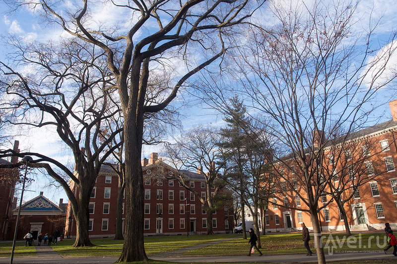Тупые американцы или лучшие университеты мира: Harvard и MIT / США