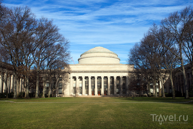 Тупые американцы или лучшие университеты мира: Harvard и MIT / США