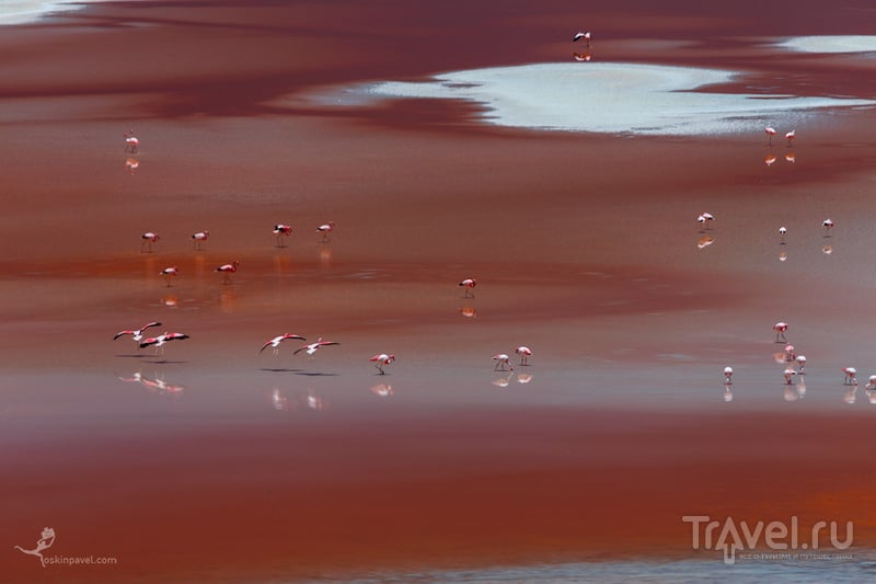 Шаг за шагом, босиком по воде... / Фото из Боливии