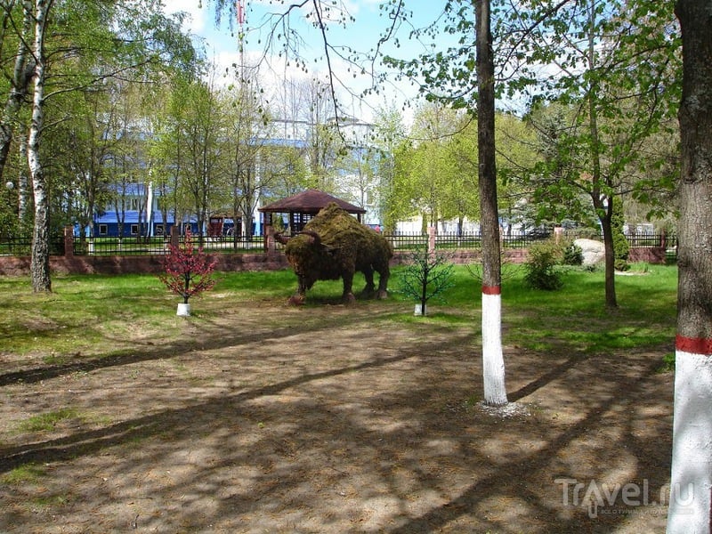 Зубренок. Белорусский Артек весной / Белоруссия