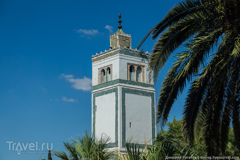 Тот самый музей Бардо в Тунисе / Фото из Туниса