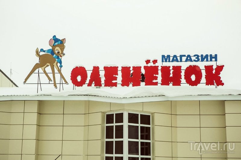 Салехард-город, где можно продать бивни мамонта / Россия