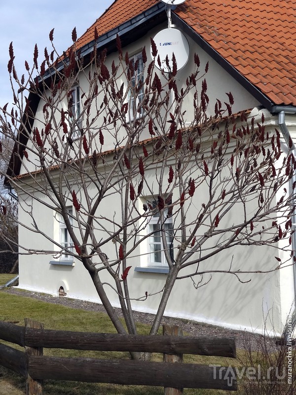 "Белый дом" на территории Рундальского дворца в Латвии - и такое бывает! / Латвия