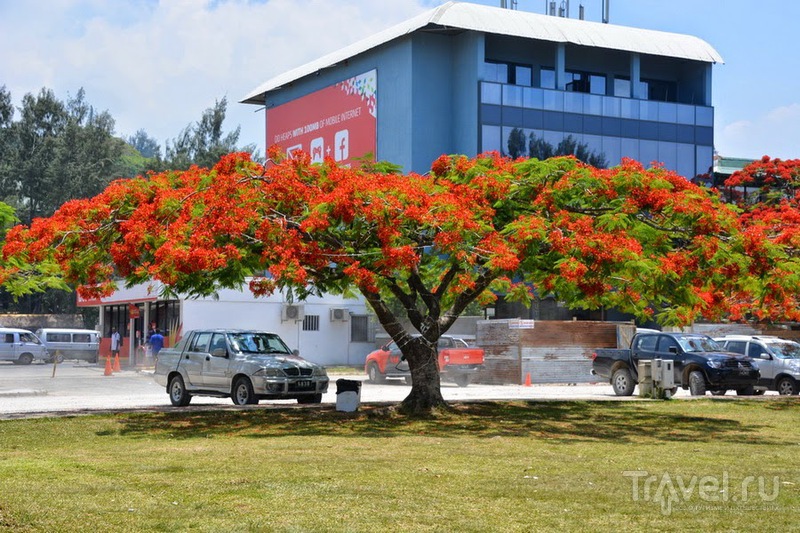 Welkam long Vanuatu /   