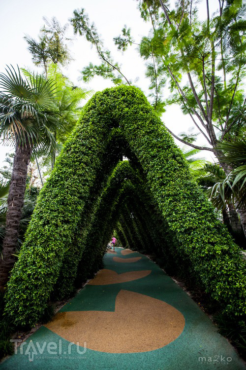 Сингапурские сады / Фото из Сингапура