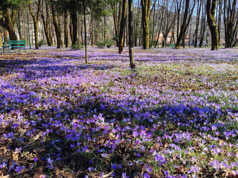 Черногория весной: как пробуждается природа / Фото из Черногории