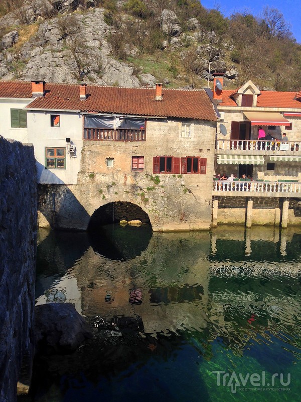 Черногория весной: как пробуждается природа / Фото из Черногории