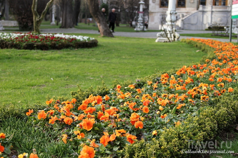 В поисках весны. Стамбул, Измир на 8 марта / Турция