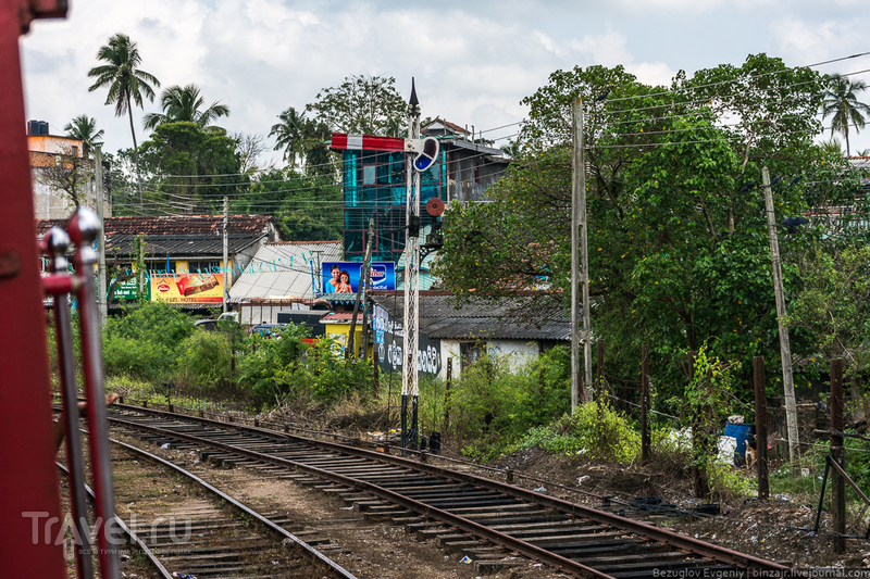 Шри-Ланка. 2015. Пиннавела - Анурадхапура / Фото со Шри-Ланки