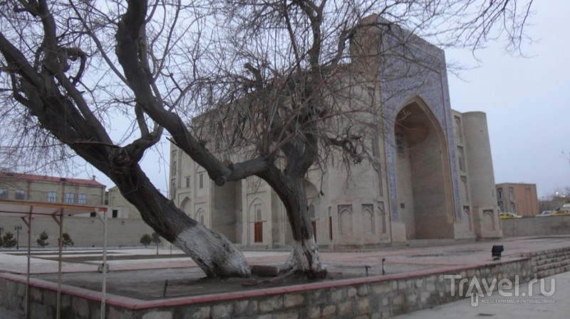 Узбекистан. Бухара / Узбекистан