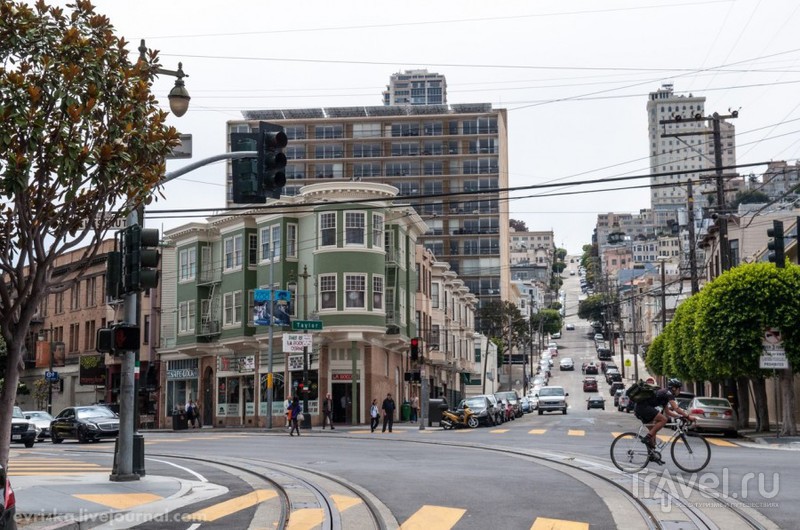 Город холмов и свободы, геев, китайцев и хиппи, в который невозможно не влюбиться - Сан-Франциско / США