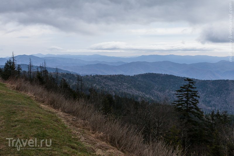 США. Национальный парк Great Smoky Mountains / Фото из США