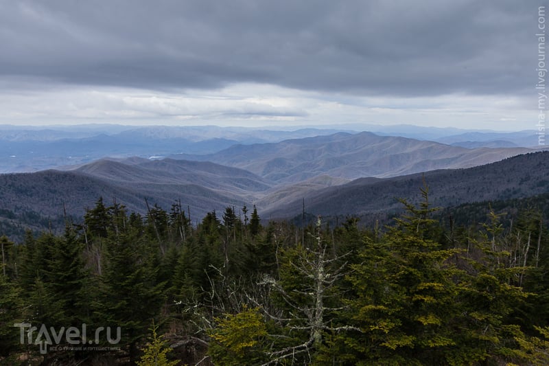 США. Национальный парк Great Smoky Mountains / Фото из США