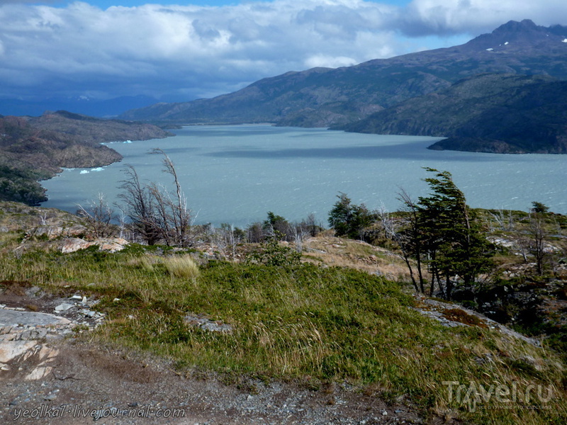 Чили - сбыча мечт! Патагония. Озеро Грей и озеро Пеоэ / Фото из Чили