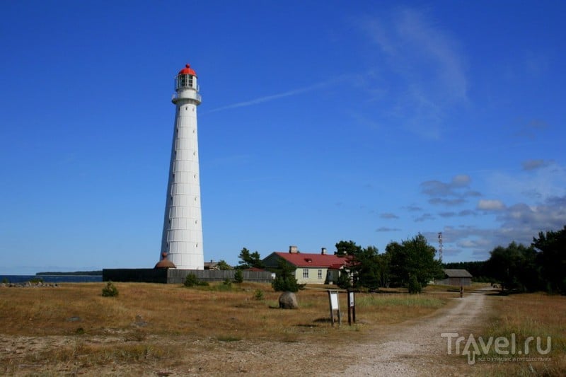 Остров Хийумаа - маяки и можжевельники / Фото из Эстонии