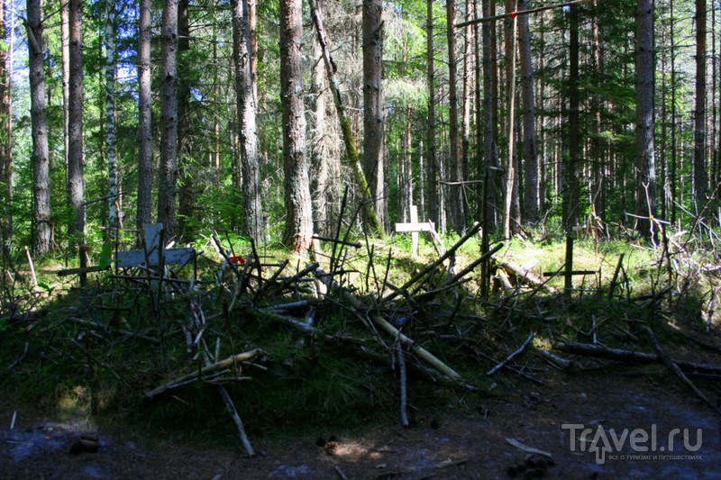 Остров Хийумаа - маяки и можжевельники / Фото из Эстонии
