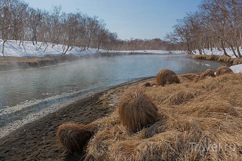Горячие реки Камчатки / Фото из России