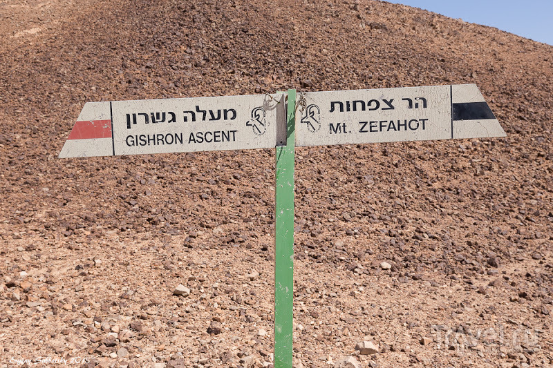 И вновь мы отменили выборы: поездка по пустыне / Израиль