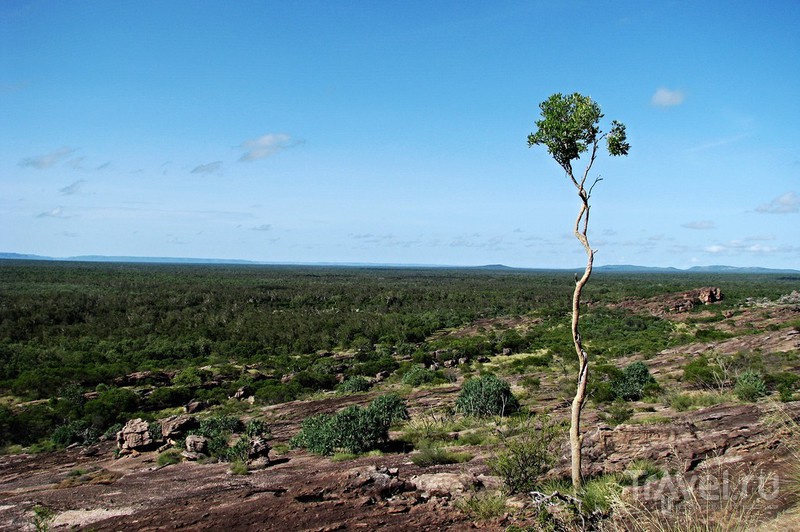 Дыхание дикой Австралии. Национальный парк Какаду / Австралия