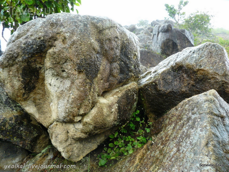 Сан-Агустин - о чем молчат древние скульптуры? / Колумбия
