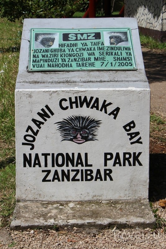 Занзибарский Красный Колобус Кирка / Танзания